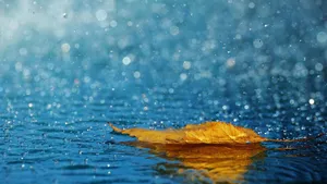 Autumn Leaf Raindrops On A Misty Gray Morning Wallpaper