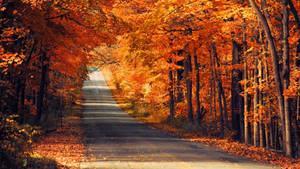 Autumn Neon Orange Leaves Wallpaper