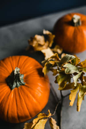 Autumn Pumpkinsand Dried Leaves Wallpaper