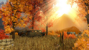 Autumn Season Morning Wallpaper