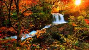 Autumn Season Stream Wallpaper