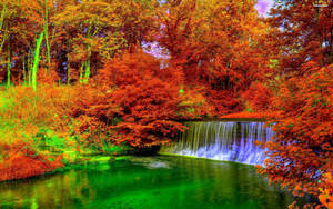 Autumn Season Vivid Hues Wallpaper