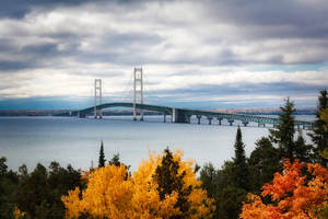 Autumn Trees Near Mackinac Bridge Wallpaper