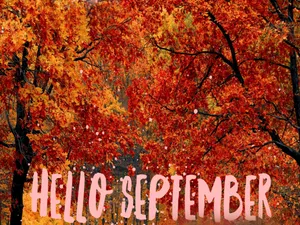 Autumn Trees With Hello September Short Greeting Wallpaper