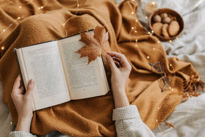 Autumn Vibes Aesthetic Book Desktop Wallpaper