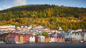 Autumnin Bryggen Bergen Norway Wallpaper