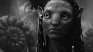 Avatar Neytiri Black And White Hd Wallpaper