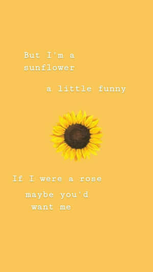 Awesome Sunflower Quotes Wallpaper