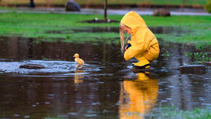 Baby Duck And Child Wallpaper