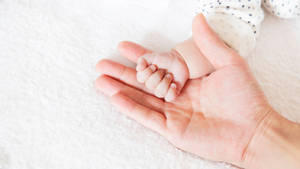 Baby Hand In Mothers Caring Hand Wallpaper