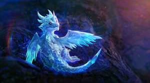 Baby Ice Dragon Wallpaper