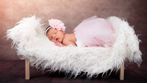 Baby Photography Newborn In Pink Dress Wallpaper