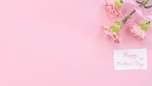 Baby Pink Carnations With Greetings Wallpaper