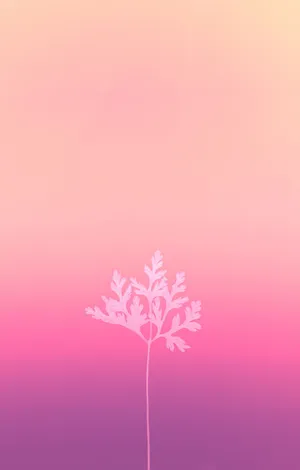 Baby Pink Leaf On Gradient Wallpaper