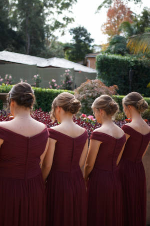 Back Shot Of Bridesmaids Wallpaper