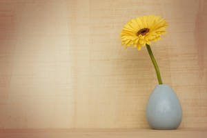 Background Design With Sunflower Vase Wallpaper