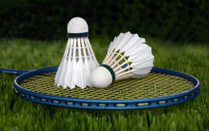 Badminton Shuttlecocks On Blue Racket Wallpaper