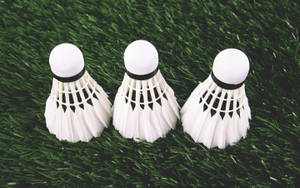 Badminton Three White Clean Shuttlecock Wallpaper