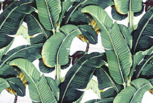 Banana Leaf Vector Art Wallpaper