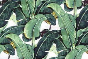 Banana Leaf Vector Art Wallpaper