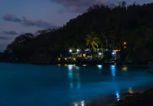 Barbados Night Life Wallpaper