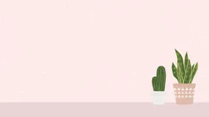 Based On The Minimalist Plant Aesthetic, This Laptop Adds An Extra Touch Of Elegance To Any Workspace Wallpaper