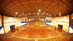 Basketball Court Fancy Stadium Wallpaper