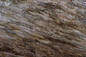 Battered Hd Wood Wallpaper