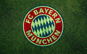 Bayern Munich Green Grass Logo Wallpaper