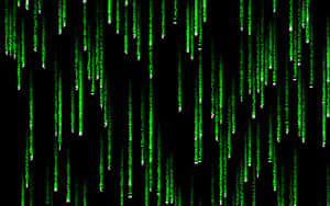 Be At Home In The Matrix Wallpaper
