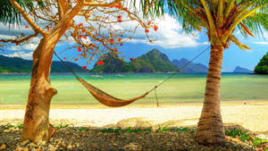 Beach Hammock Summer Season Wallpaper