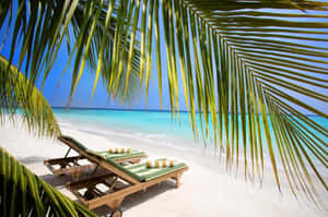 Beach Resort Sunbathing Chairs Wallpaper