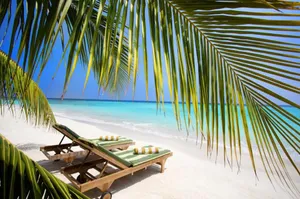 Beach Resort Sunbathing Chairs Wallpaper