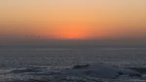 Beach Sunset Screensavers Wallpaper