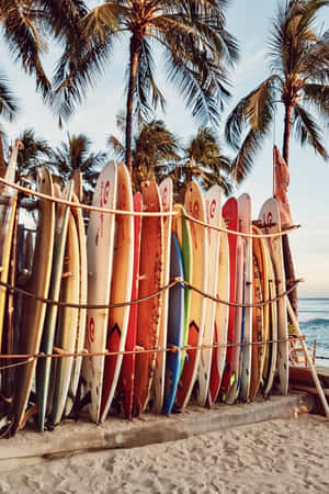 Beach Surfboards Pile Wallpaper