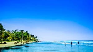 Beach With Beautiful Blue Water Wallpaper