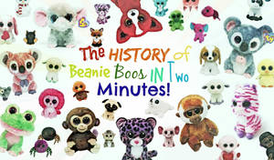 Beanie Boos Banner Wallpaper