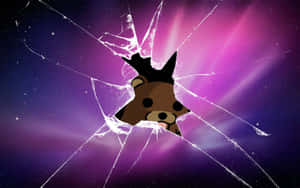 Bear Breaking Screen Pfp Ideas Wallpaper