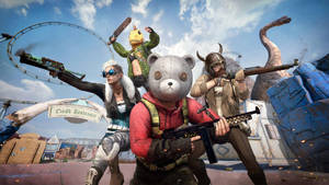 Bear Pubg Squad Lindh Boulevard Wallpaper