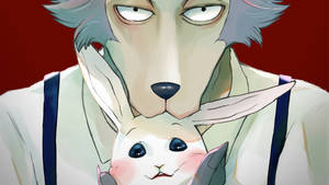 Beastars Legosi And Haru Wallpaper