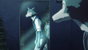 Beastars Legosi Mirror Wallpaper