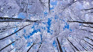 Beautiful 1920x1080 Winter Desktop Background Wallpaper