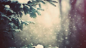 Beautiful 1920x1080 Winter Desktop Display Wallpaper