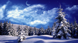 Beautiful 1920x1080 Winter Desktop Theme Wallpaper