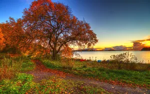 Beautiful Fall By The River Picture Wallpaper