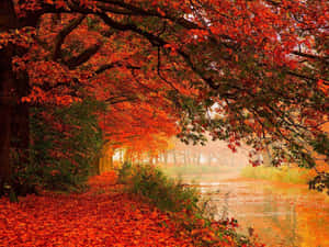 Beautiful Fall Scenery Wallpaper