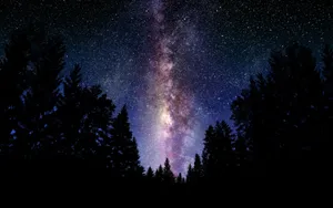 Beautiful Galaxy In A Dark Forest Wallpaper