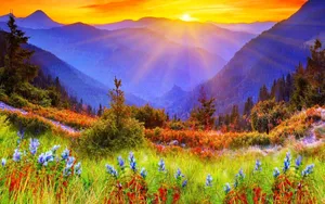 Beautiful Green Field With Sun Rise Wallpaper