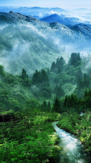 Beautiful Green Forest For Android Nature Wallpaper