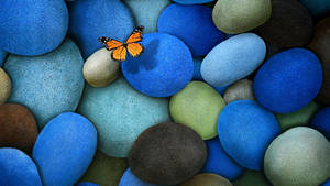 Beautiful Hd Butterfly And Colorful Stones Wallpaper